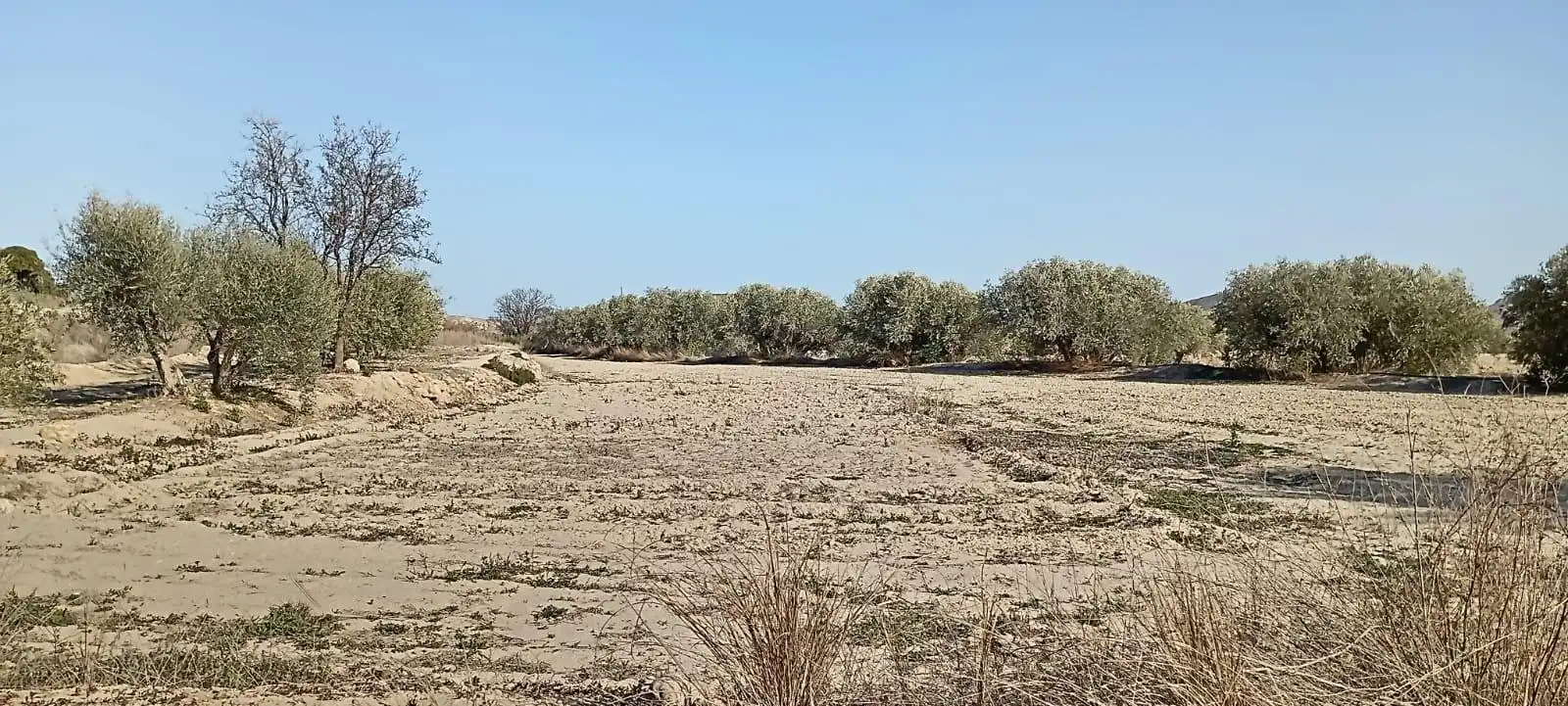 Maison avec jardin à vendre à Mojácar Pueblo, imagen 39