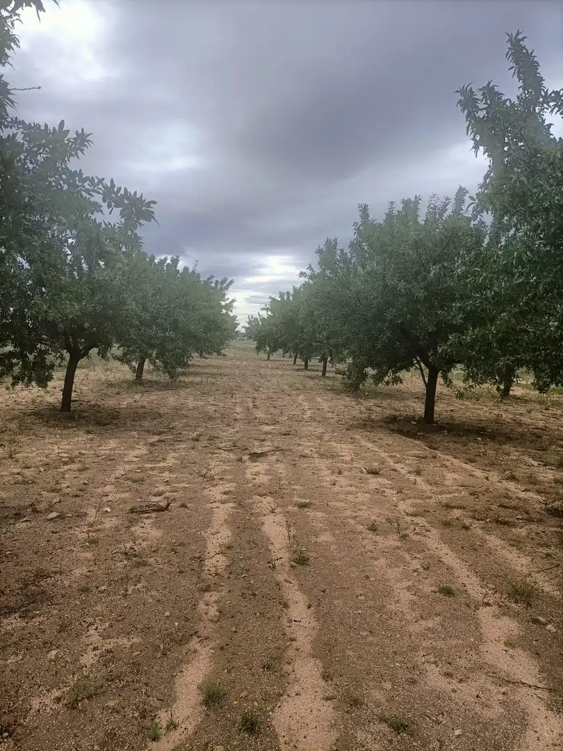 Terreno rustico in vendita a Nambroca, imagen 6