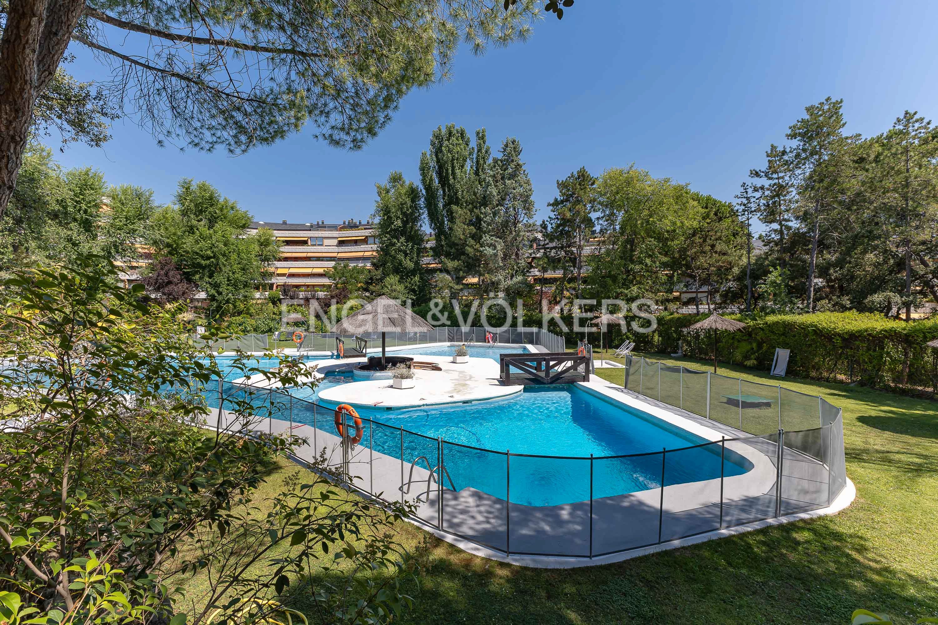 Piscina de Apartament de lloguer en  Madrid Capital amb Aire condicionat, Calefacció i Parquet
