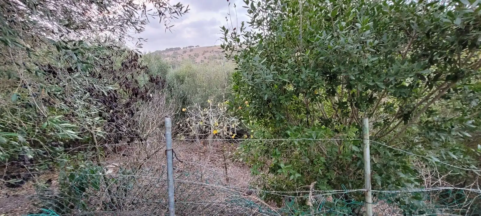 Finca rústica en venda en Los Barrios amb Calefacció, Jardí privat i Traster