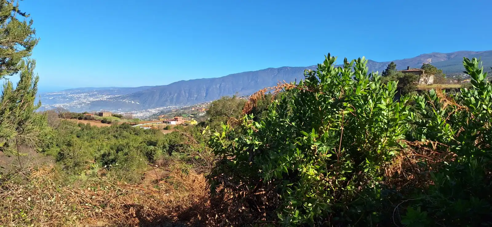 Finca rústica en venta en Los Realejos con Jardín privado y Terraza