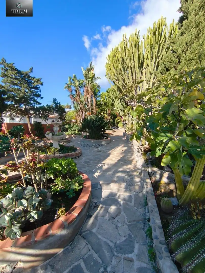 Jardí de Casa o xalet en venda en Almuñécar