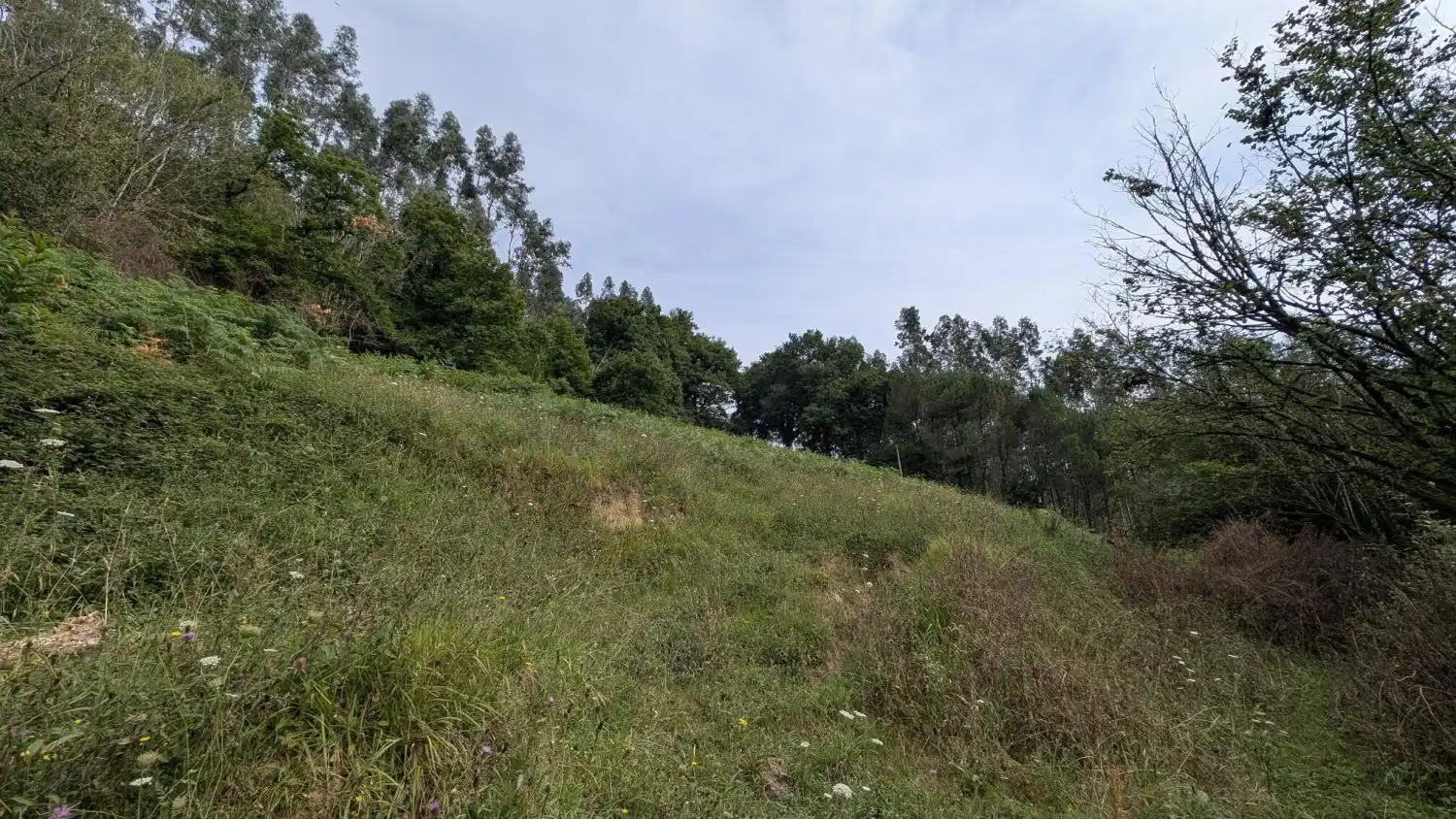 Casa rústica en venta en HIJAS 98, imagen 36