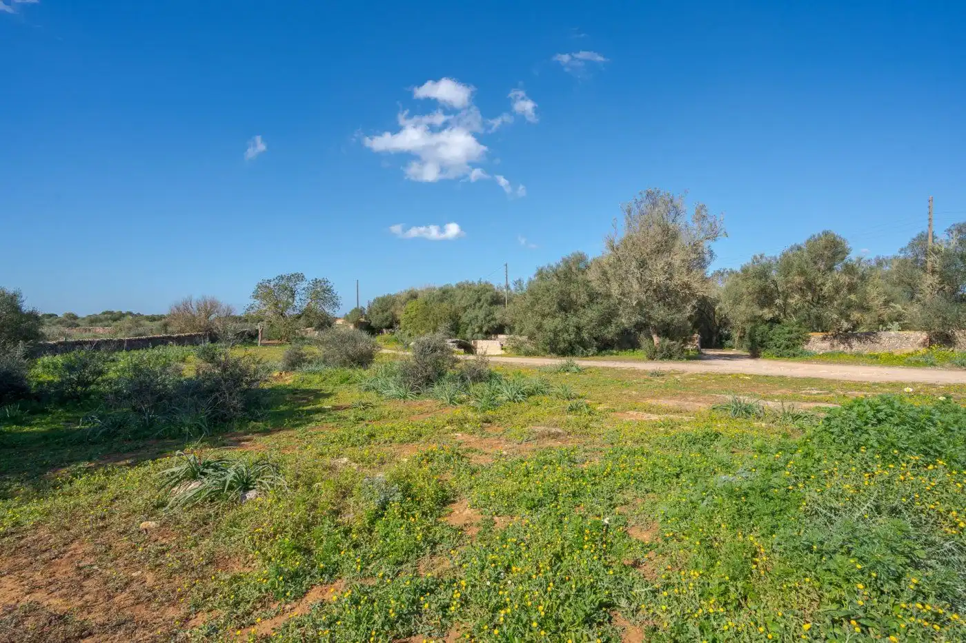 Country house with garden for sale in Llucmajor pueblo, imagen 14