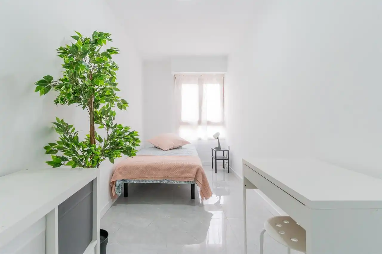 Room in Casco Histórico