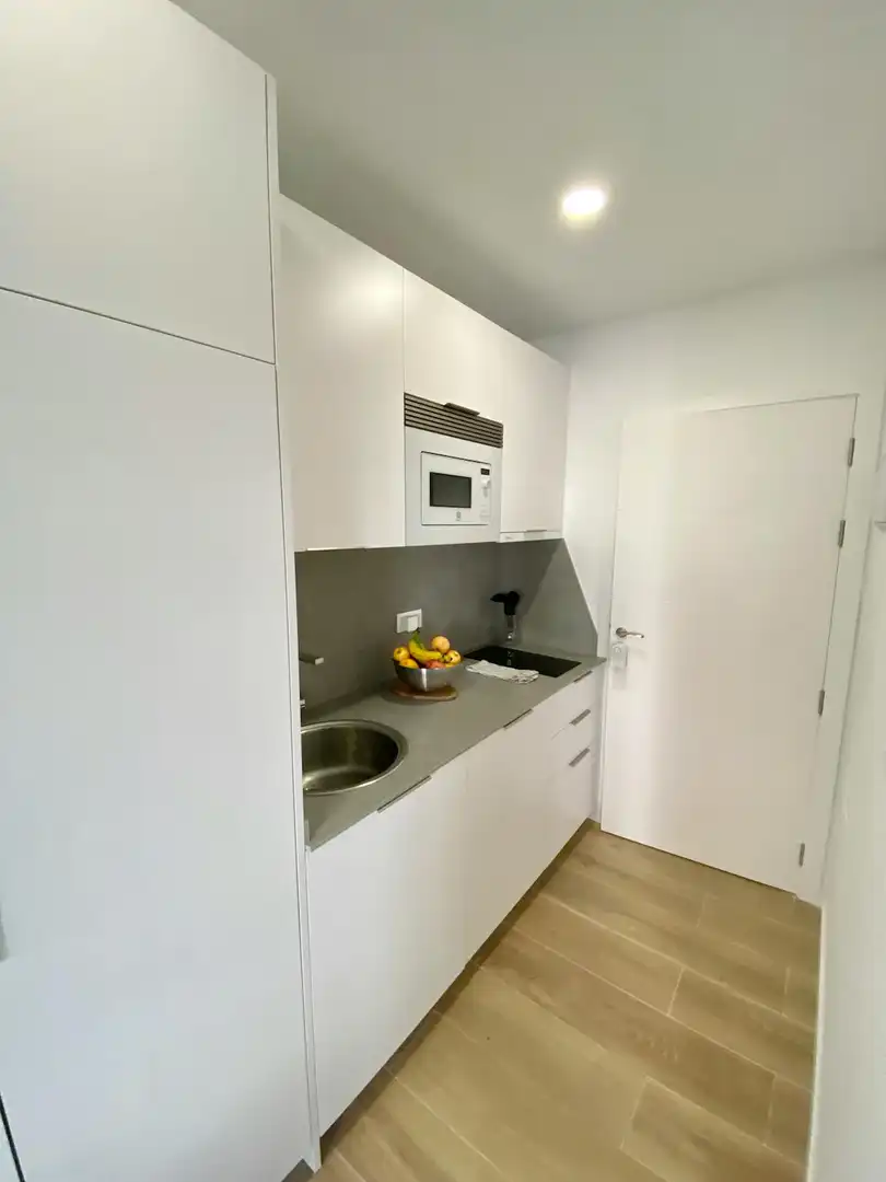 Cuina de Pis de lloguer en Madrid amb Aire condicionat, Calefacció i Jardí privat