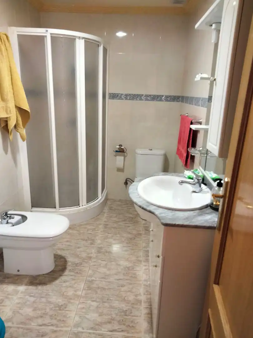 Bathroom of Apartments for sale in Guadix  with Furnished
