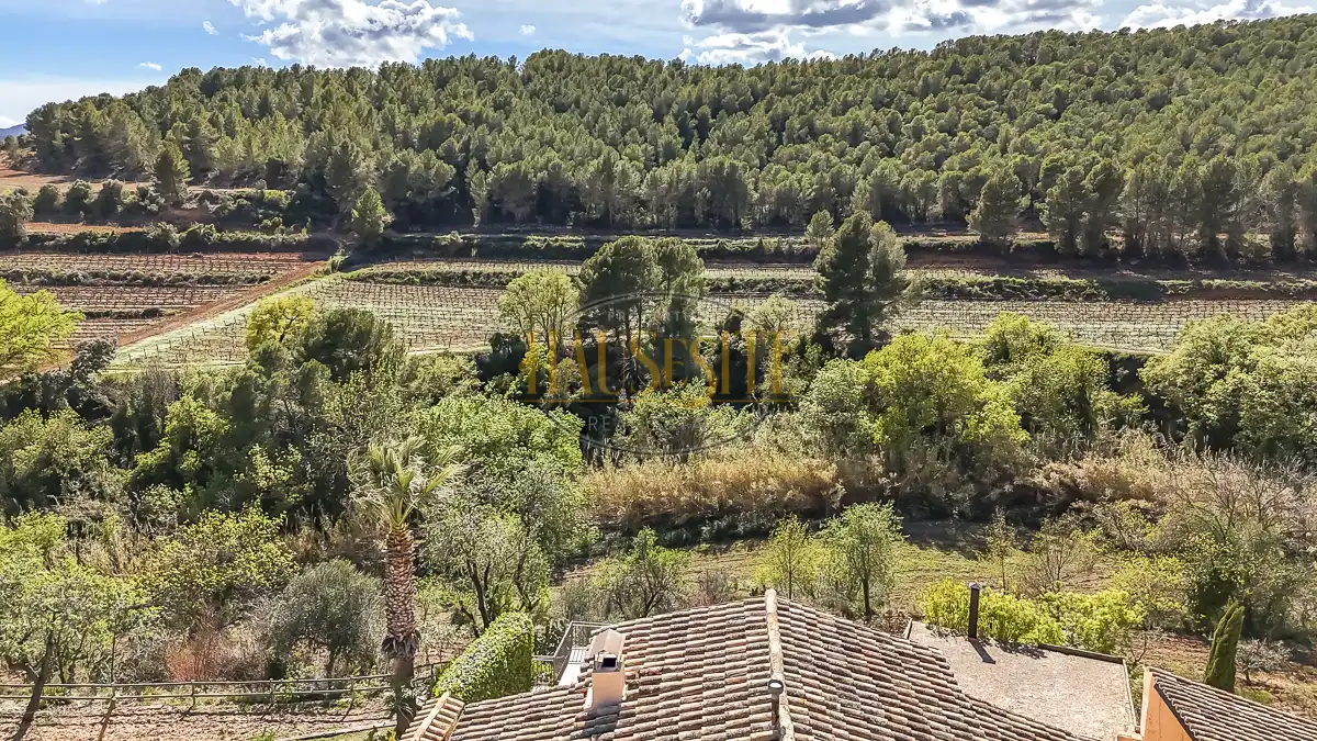 Casa rústica amb terrassa en venda a Torrelles de Foix, imagen 4
