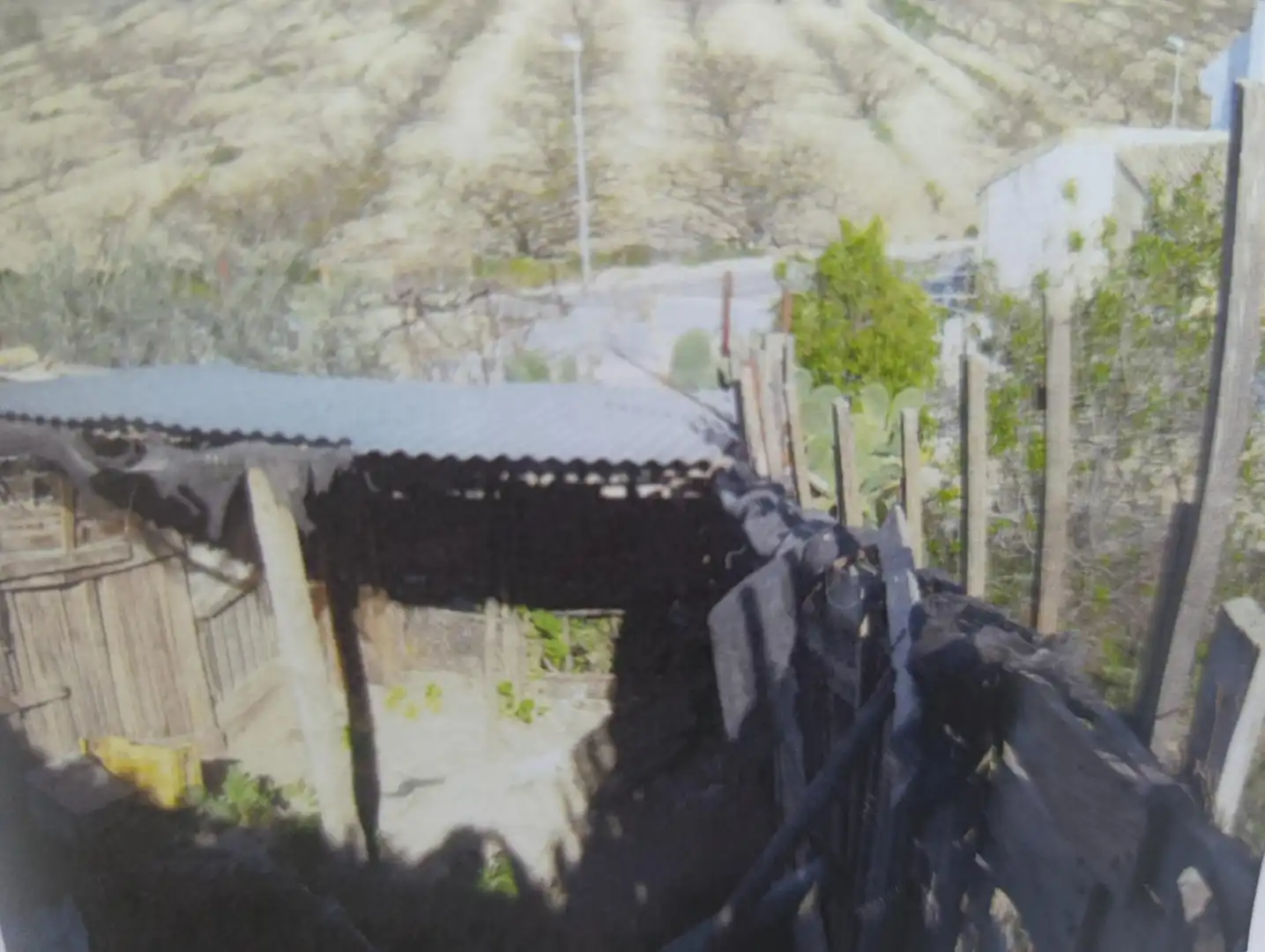 Residential land for sale in Avenida CEHEGIN, imagen 14