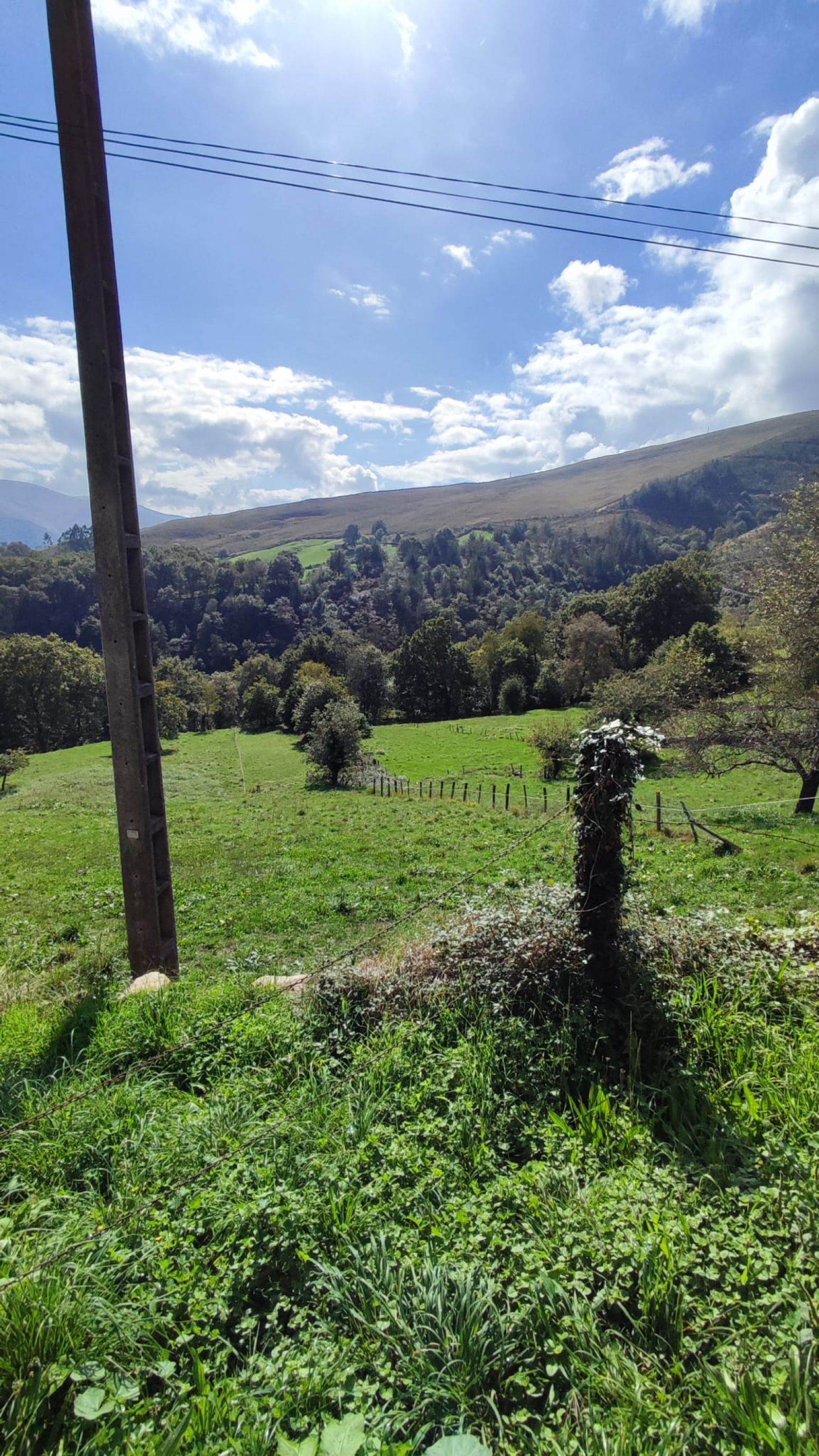 Exterior view of House or chalet for sale in Corvera de Toranzo  with Private garden