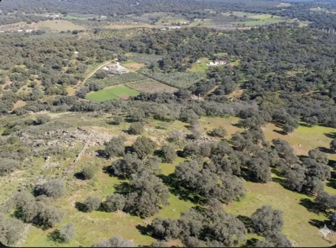 Residential land for sale in Carr. de Alanis