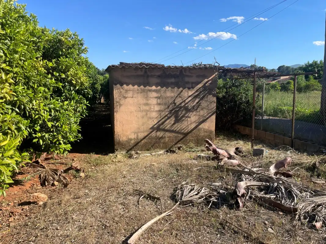 Terrain rustique à vendre à Partida Bases 254, imagen 18