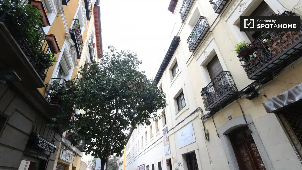 Appartamento in affitto a Centro, imagen 11