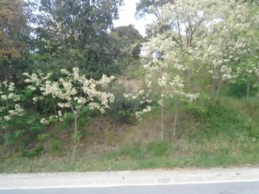 Terreni e lotti in vendita a Gualba, imagen 4