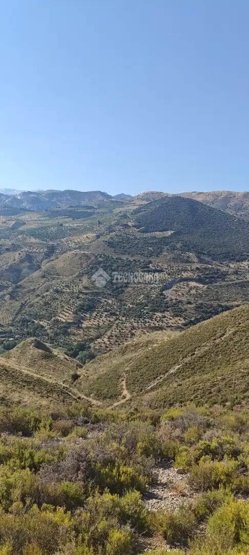 Rustikales Grundstück zum Verkauf in Pinos Genil, imagen 7