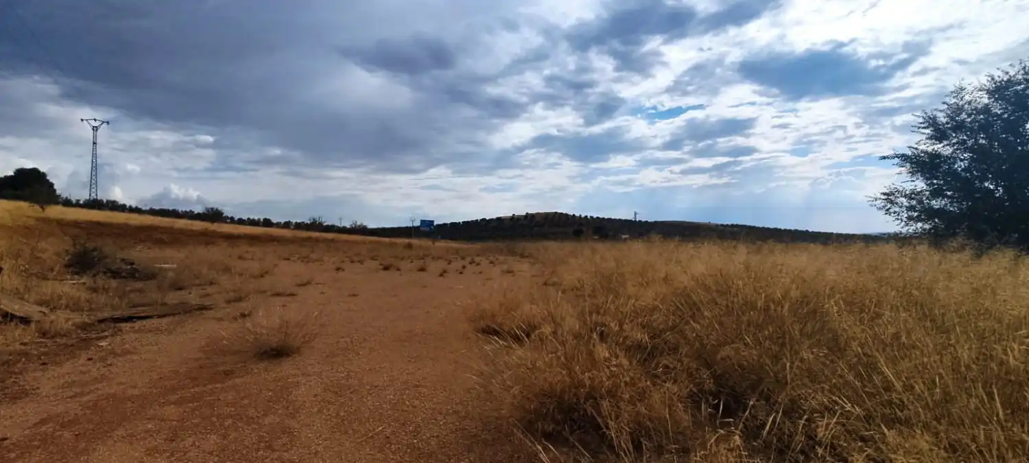 Lands and plots for sale in Valdepeñas, imagen 9