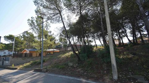 TERRENO PLANO EN LES PALMERES, CANYELLES, immagine 2