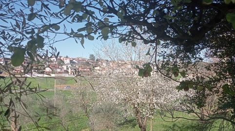 Photo 3 of Houses for rent in Porqueres, Girona
