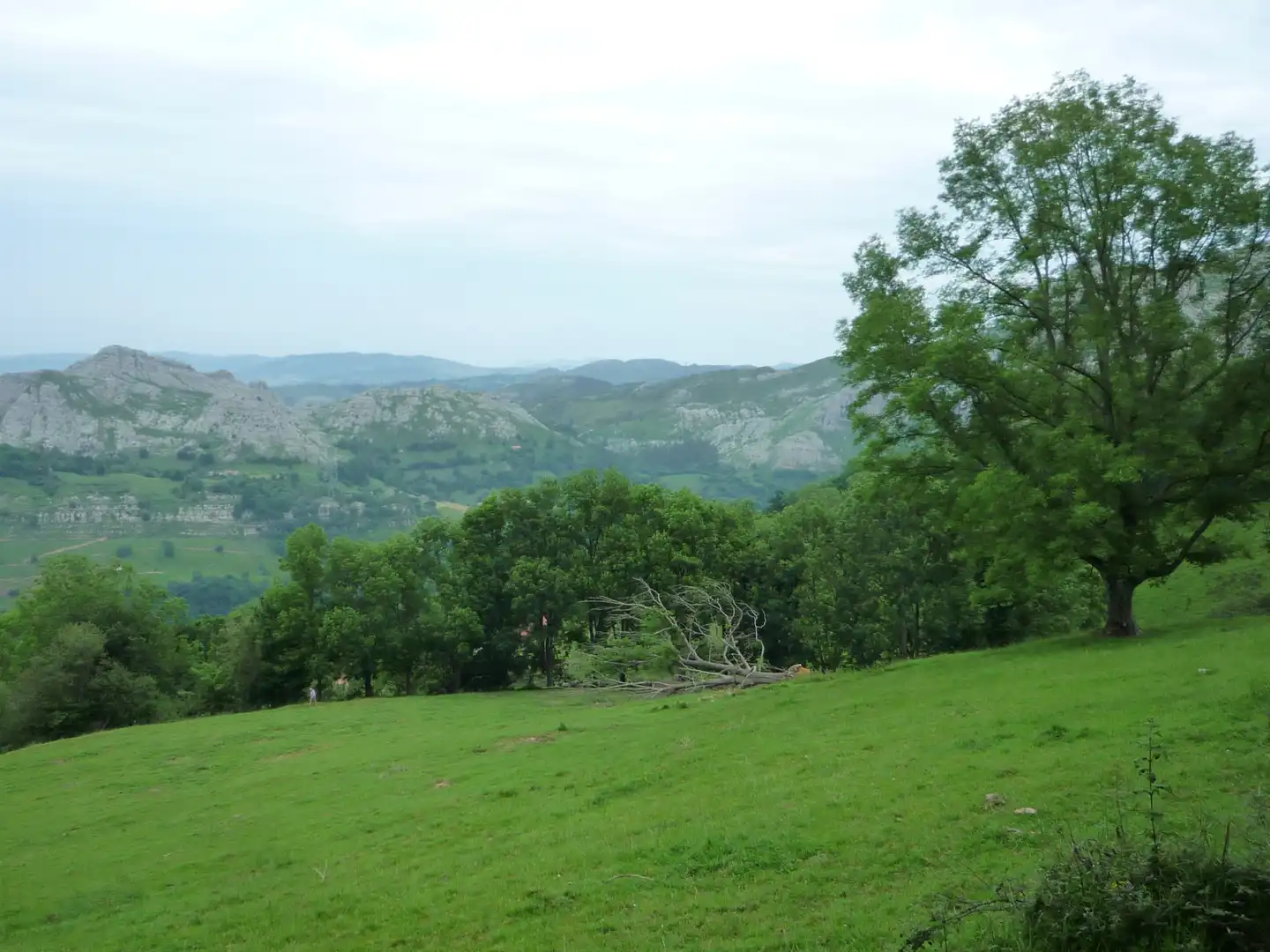 Terreno rustico in vendita a Liérganes, imagen 13