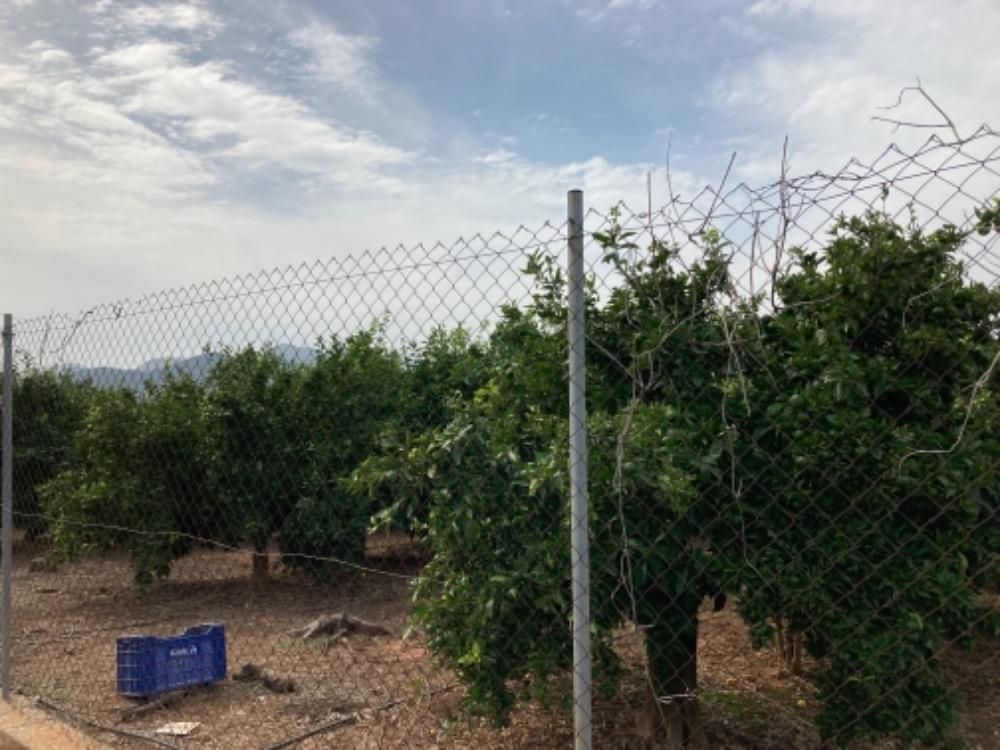 Land for sale in Nules