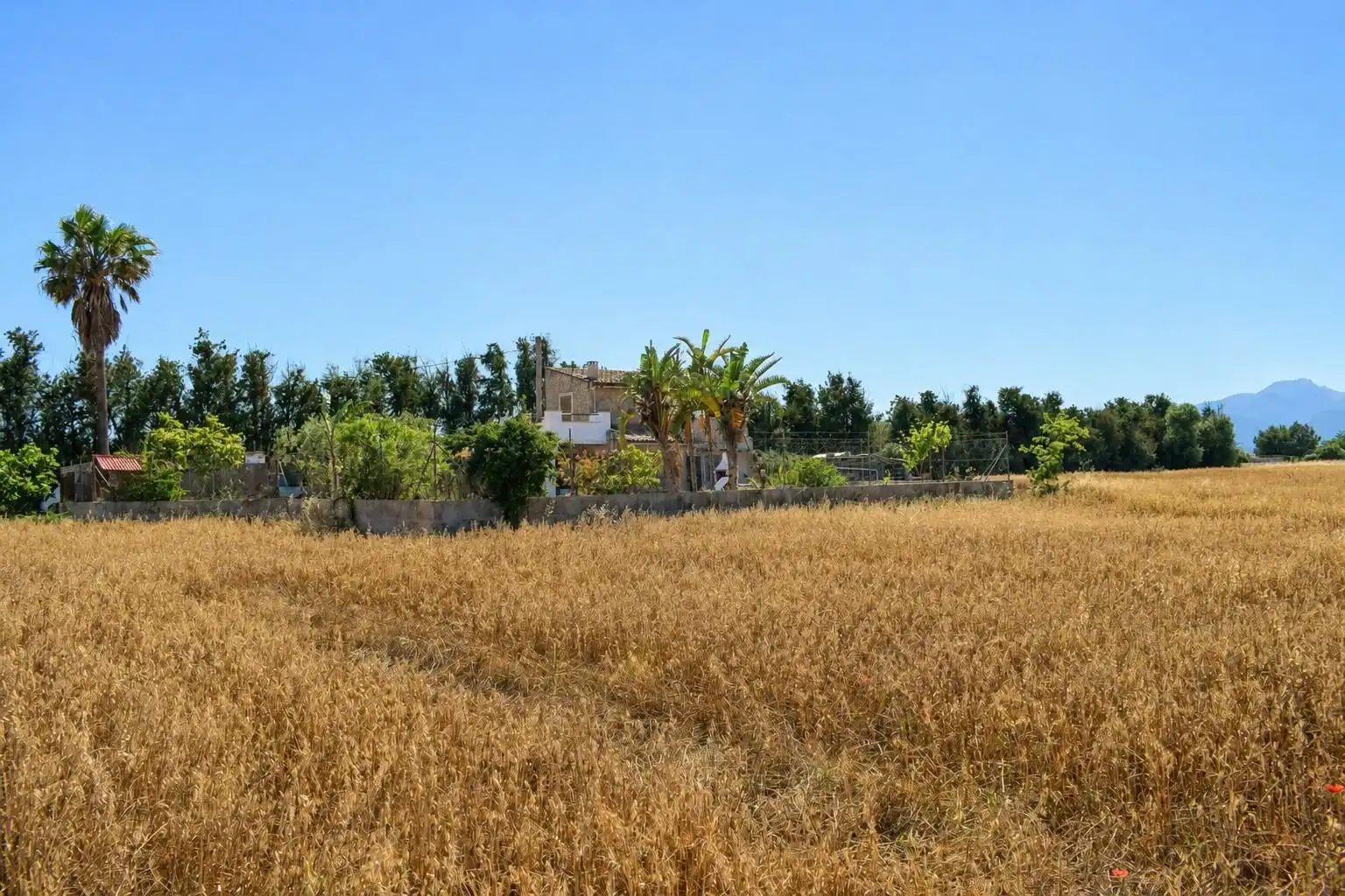 Finca rústica de alquiler en Muro con Piscina