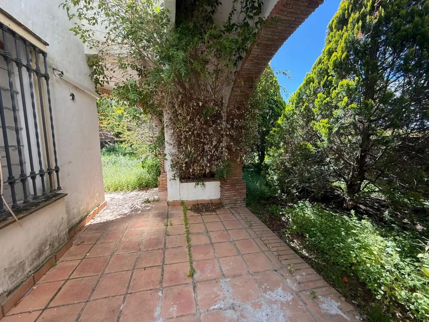 Garden of Houses for sale in Benalup-Casas Viejas  with Heating, Private garden and Terrace