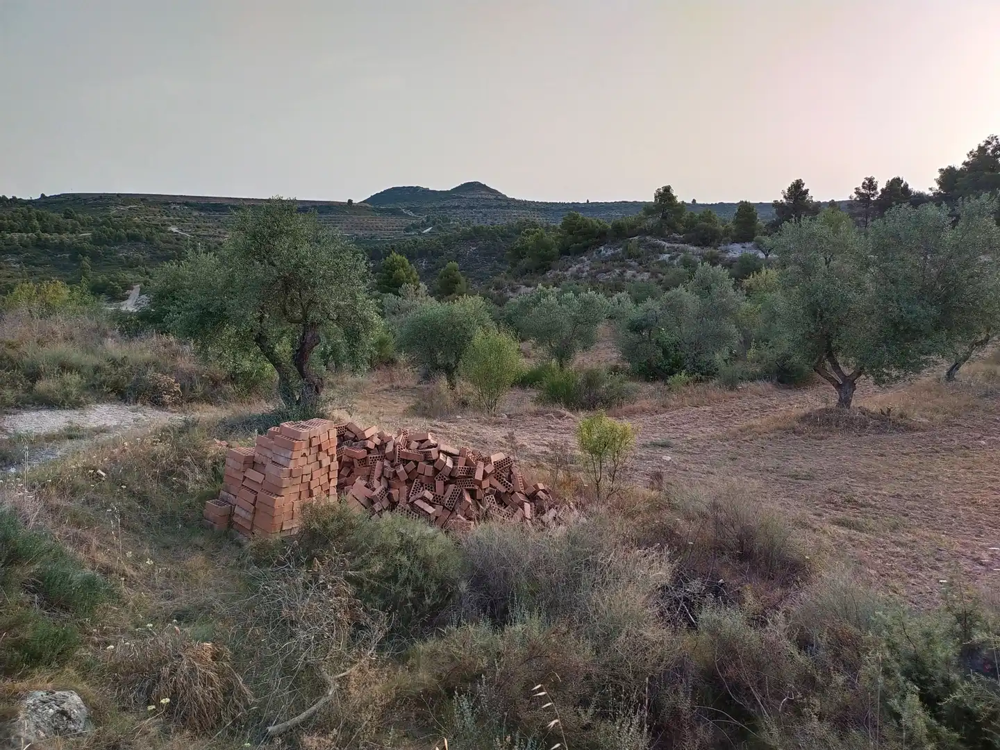 Terreno rústico en venta en Cervià de Les Garrigues, imagen 4