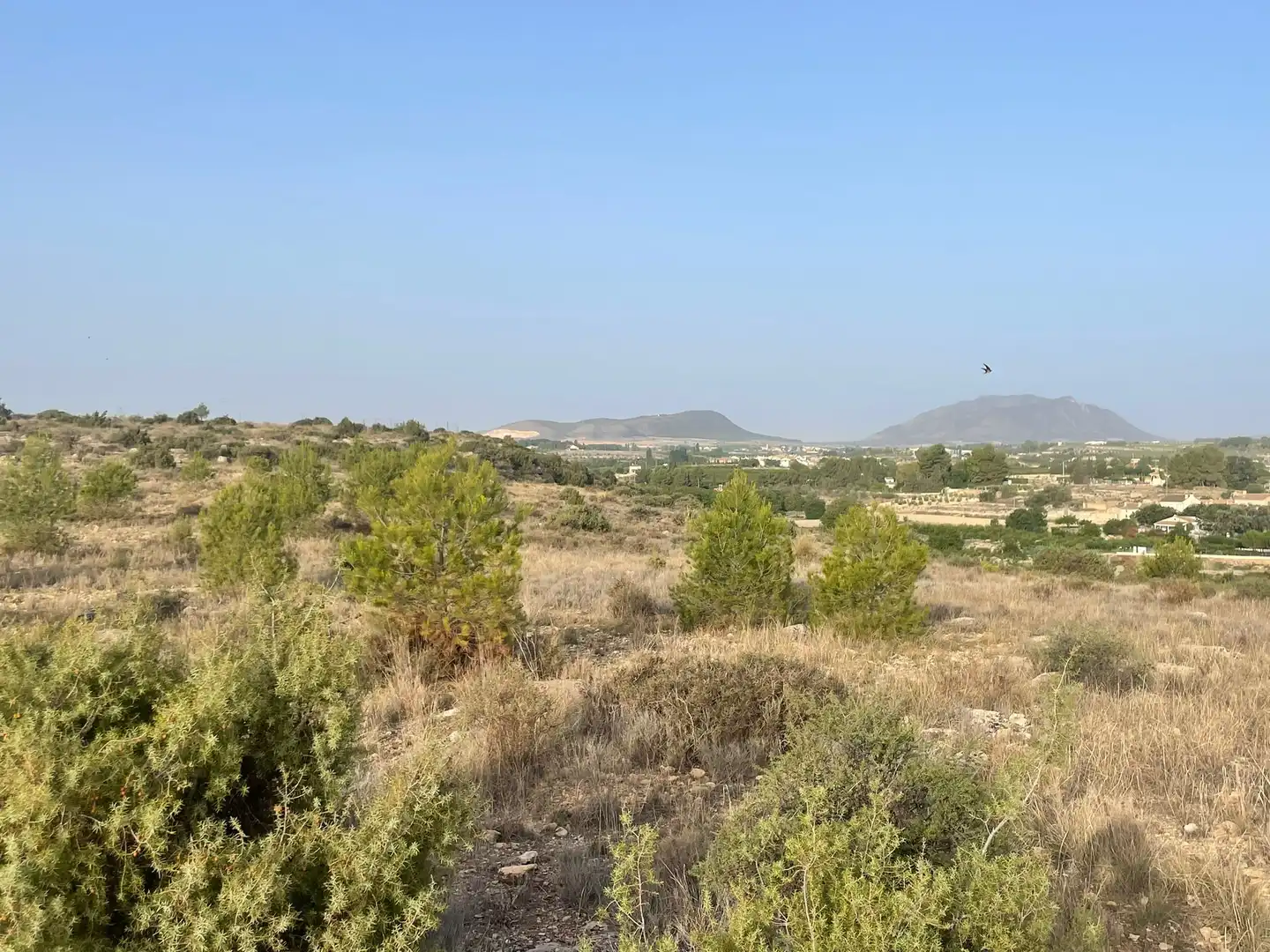 Residential land for sale in Carretera Caravaca 1, imagen 5