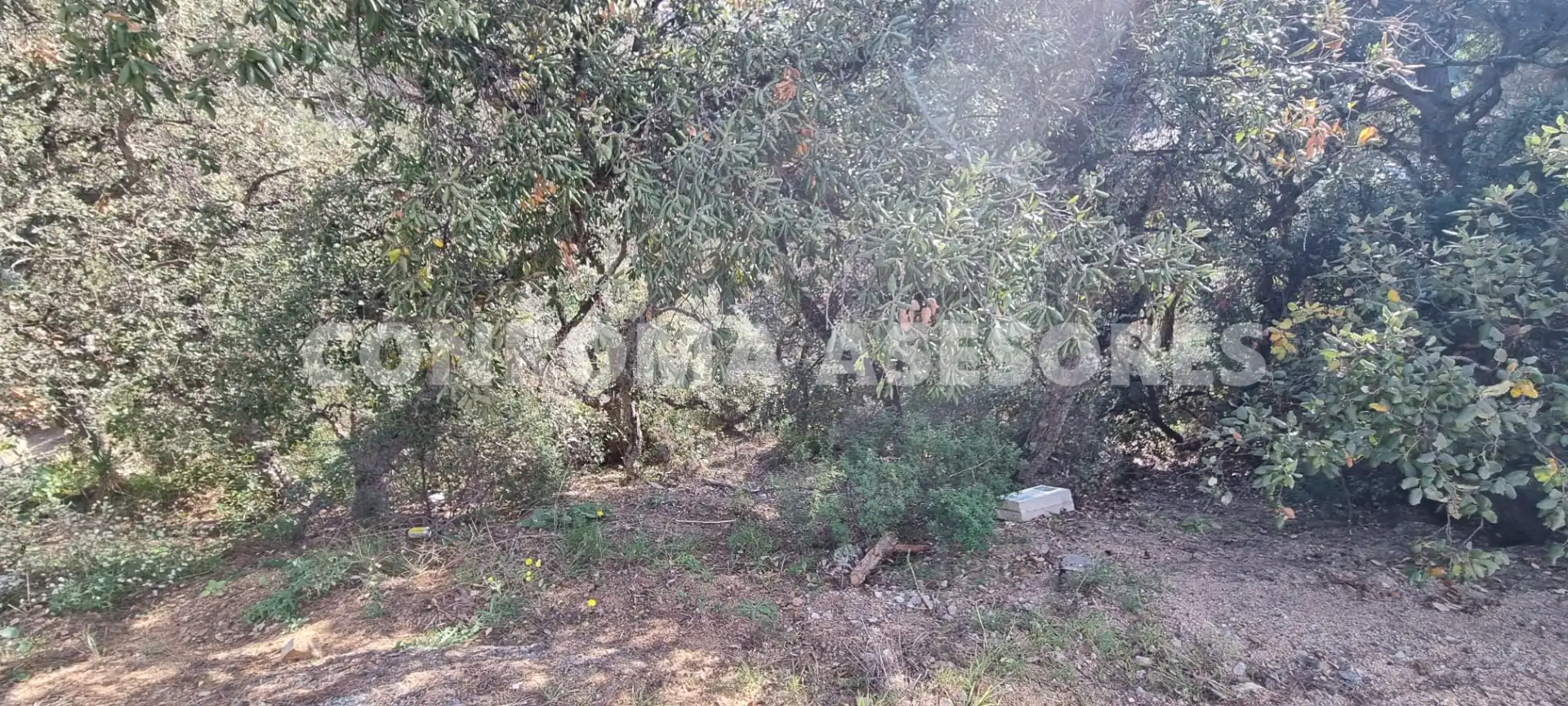Residential land for sale in Canyelles, imagen 7