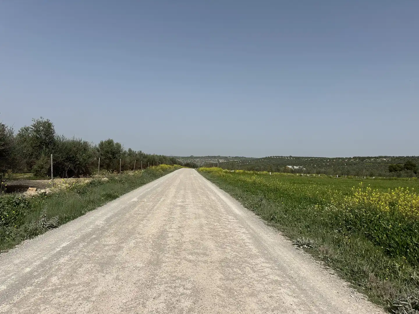 Terrenos y solares en venta en Úbeda, imagen 5