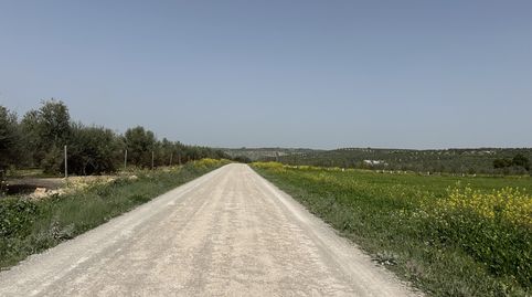 SE VENDE PARCELA RÚSTICA ZONA EL TESORERO, immagine 5