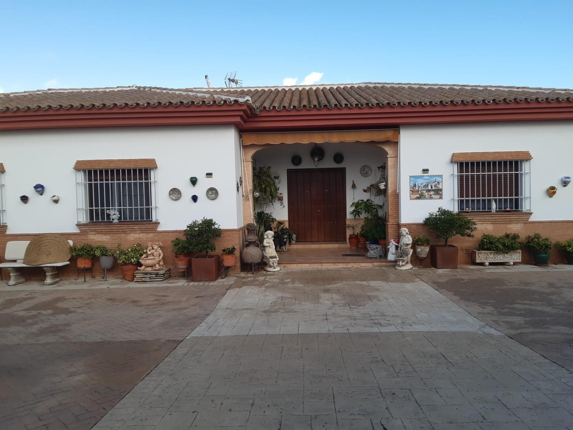 Vista exterior de Casa o chalet en venta en Sanlúcar la Mayor con Jardín privado y Piscina comunitaria