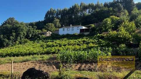 CASA CON VIÑEDOS ENTORNO EMBALSE PORTOMARIN