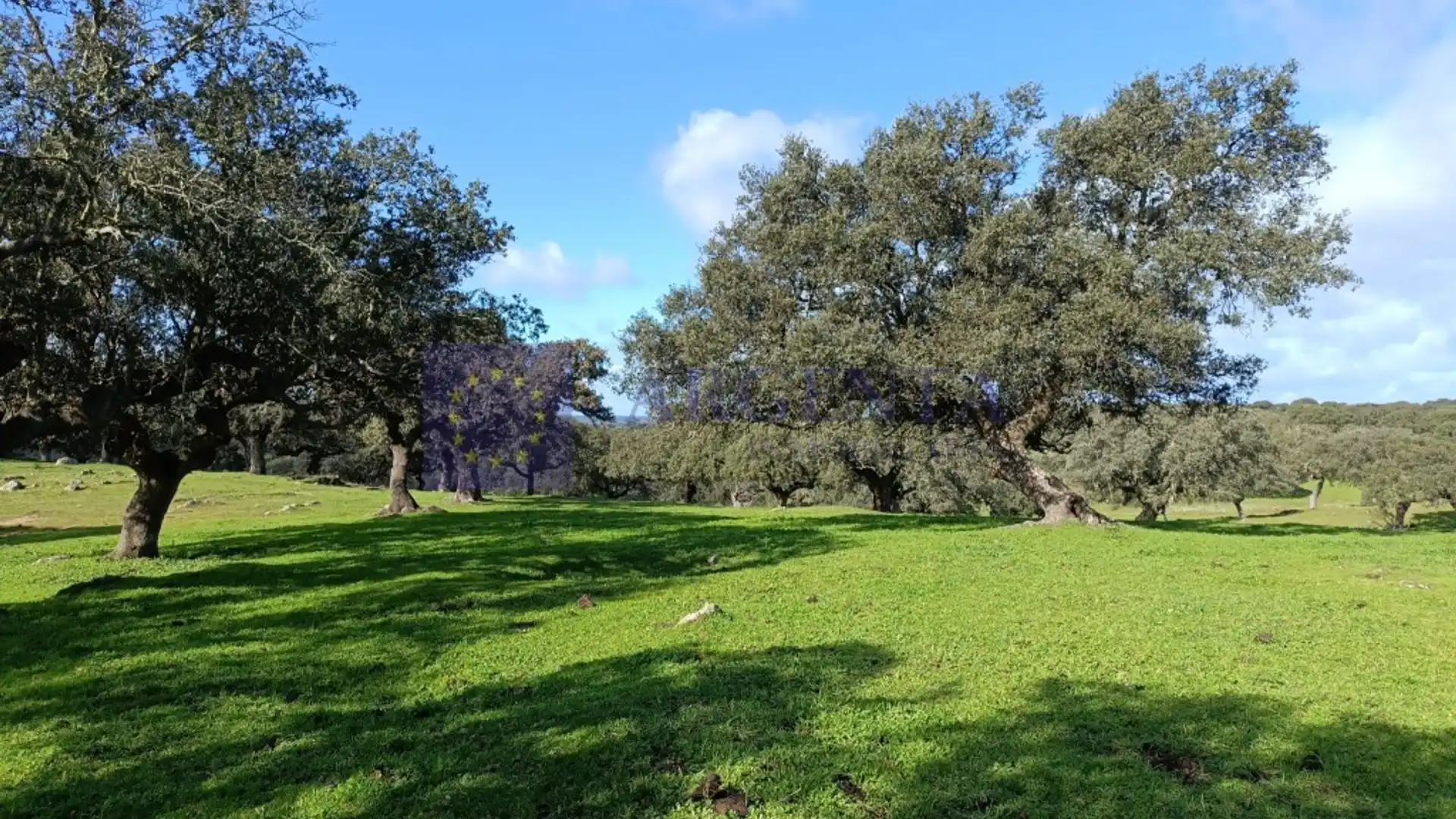 Casa o chalet en venta en Navalmoral de la Mata