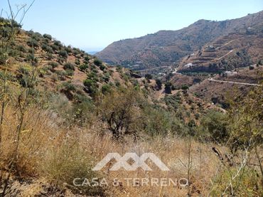 Terreny rústic en venda a Calle Bentomiz