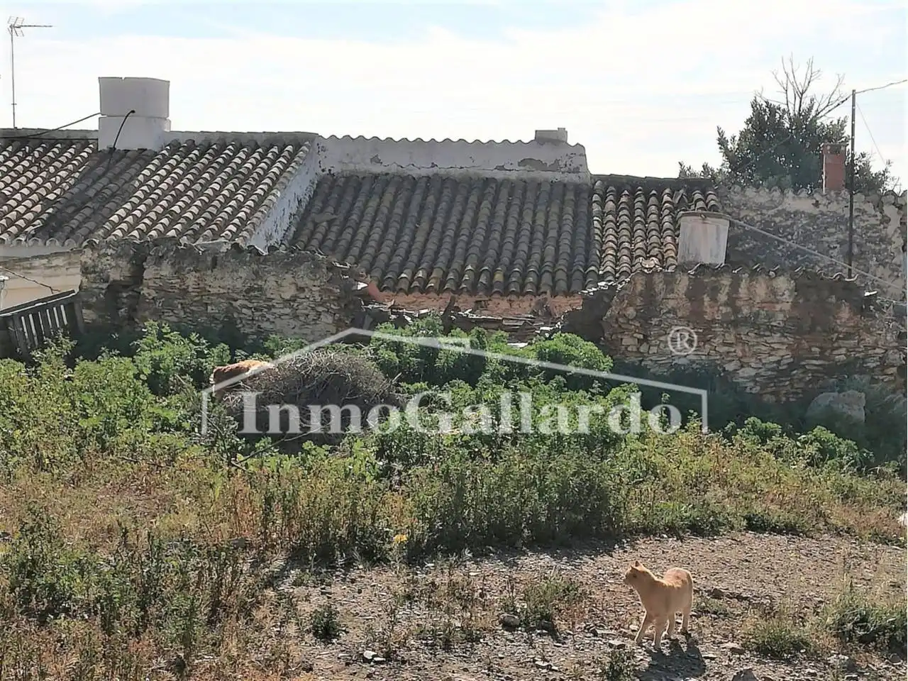Finca rústica en venda en Vélez-Málaga amb Jardí privat