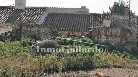 Foto 3 de Finca rústica en venda a Hispanidad - Vivar Téllez, Vélez-Málaga