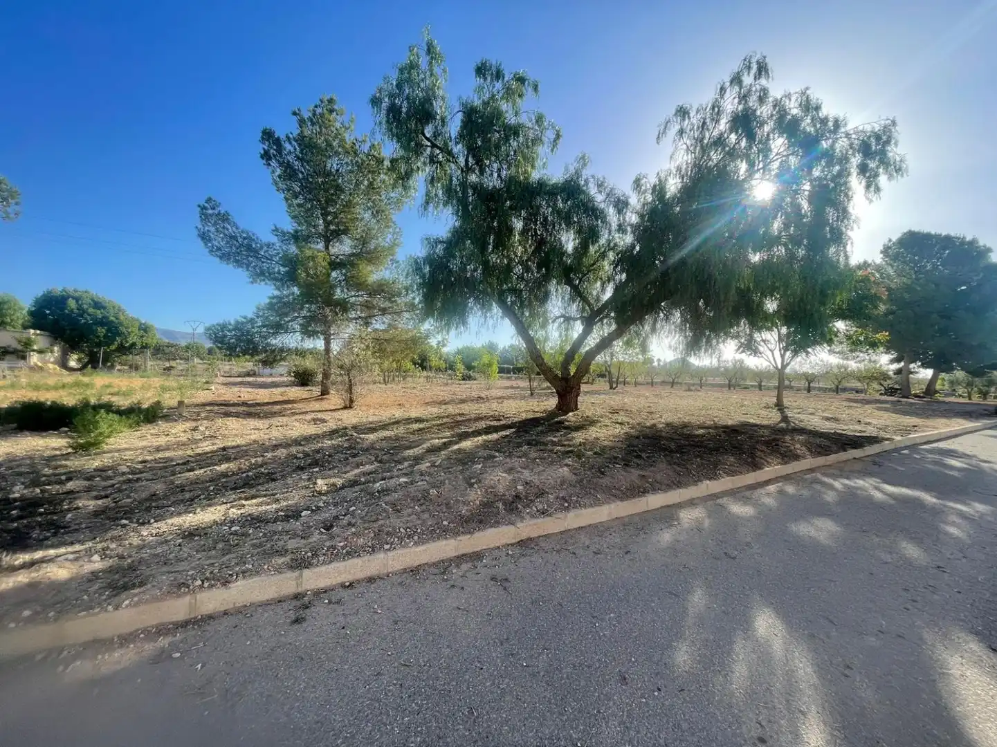 Wohnbaugrundstück zum Verkauf in Pinoso - POLIGONO 7 PARCELA 85, imagen 2