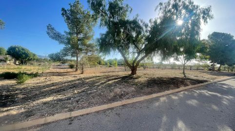 Construye Tu Sueño! Terreno Urbano en Venta en Úbeda  Pinoso, imatge 2