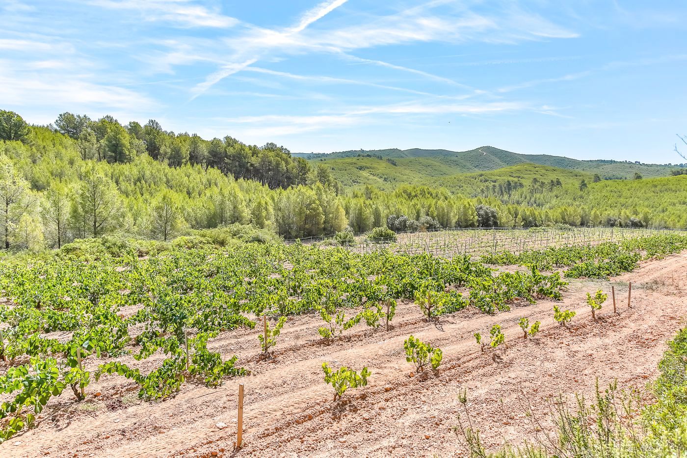 Residential for sale in Masllorenç