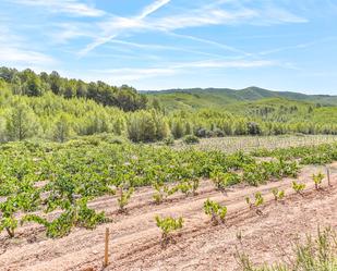 Residential for sale in Masllorenç