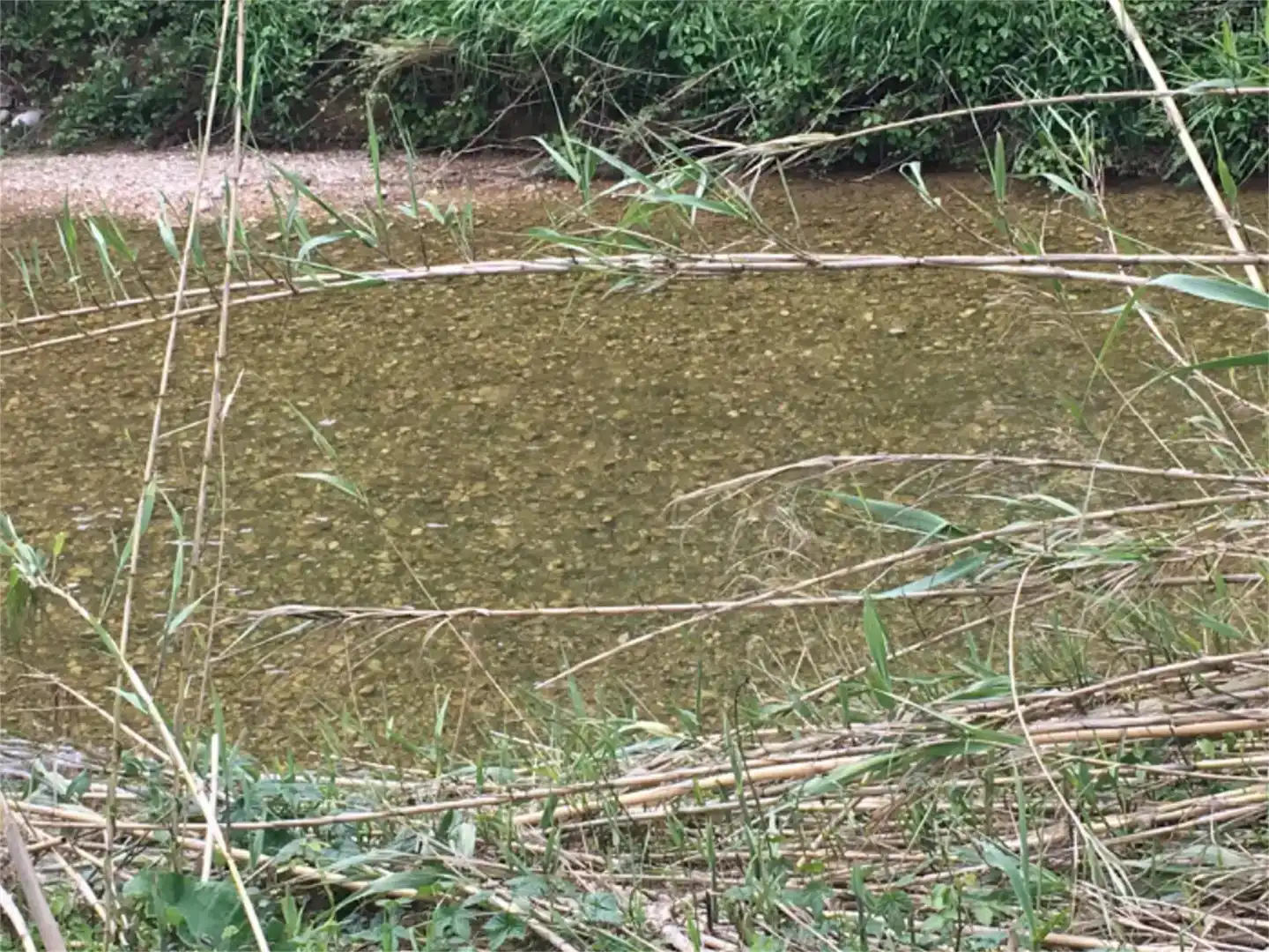 Piscina de Finca rústica en venda en Salomó