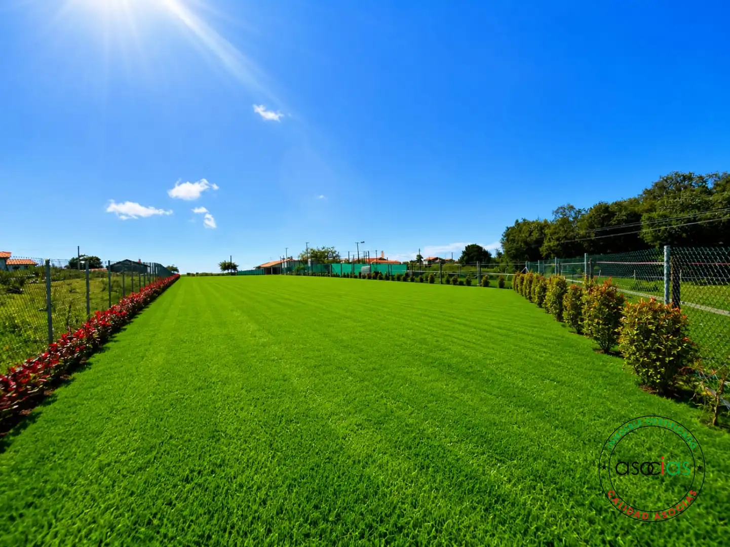 Terreny residencial en venda a Abedules. Finca La Llosa s/n, imagen 14