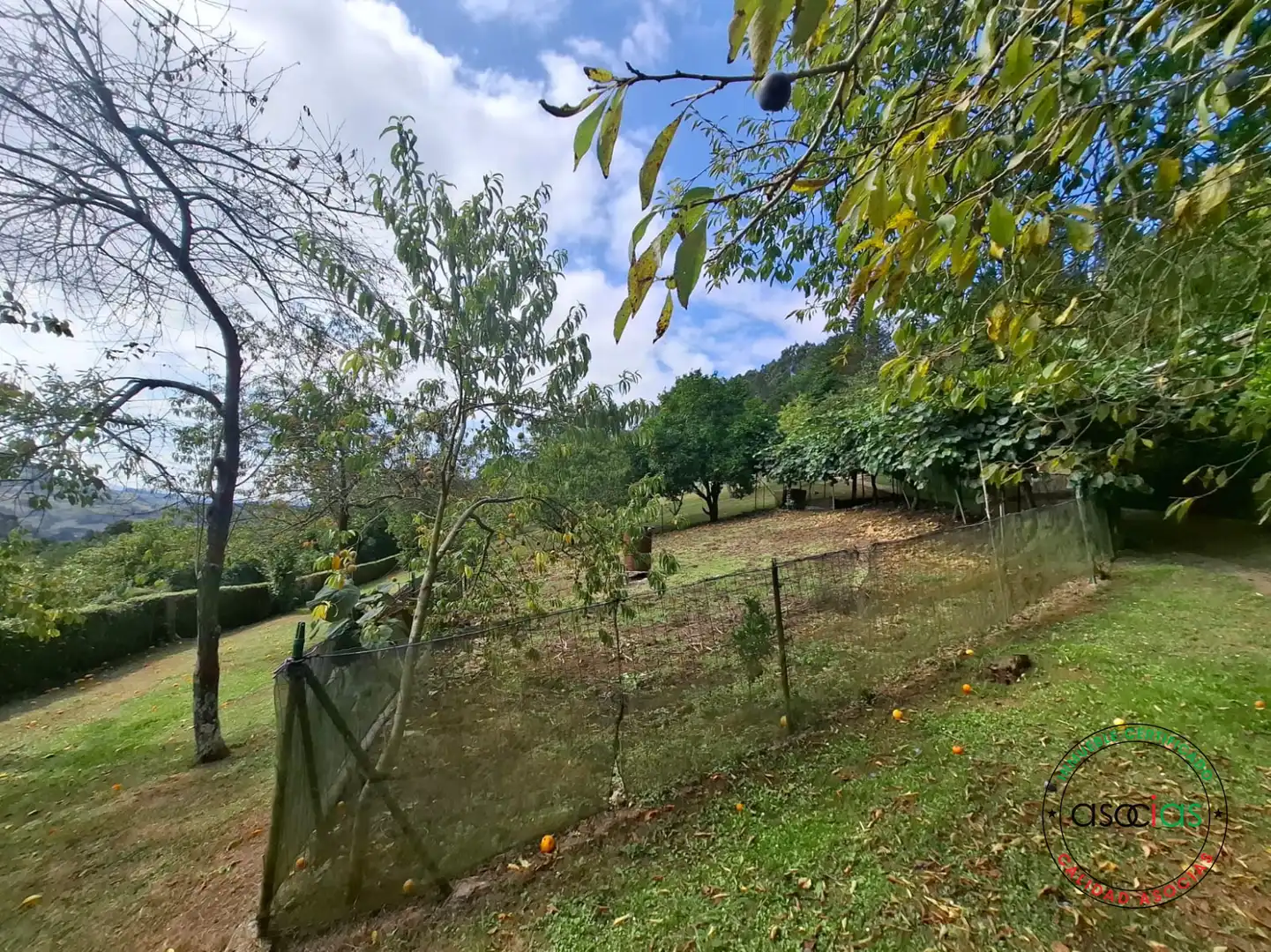 Casa o chalet en venta en Gijón  con Jardín privado, Terraza y Trastero
