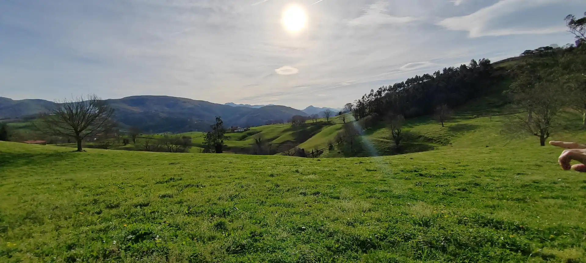 Fabrikhallen zum Verkauf in Barrio Real Sitio, 38, Riotuerto
