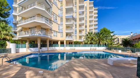 Photo 3 of Flat to rent in Bulevar de Peguera, Peguera, Calvià