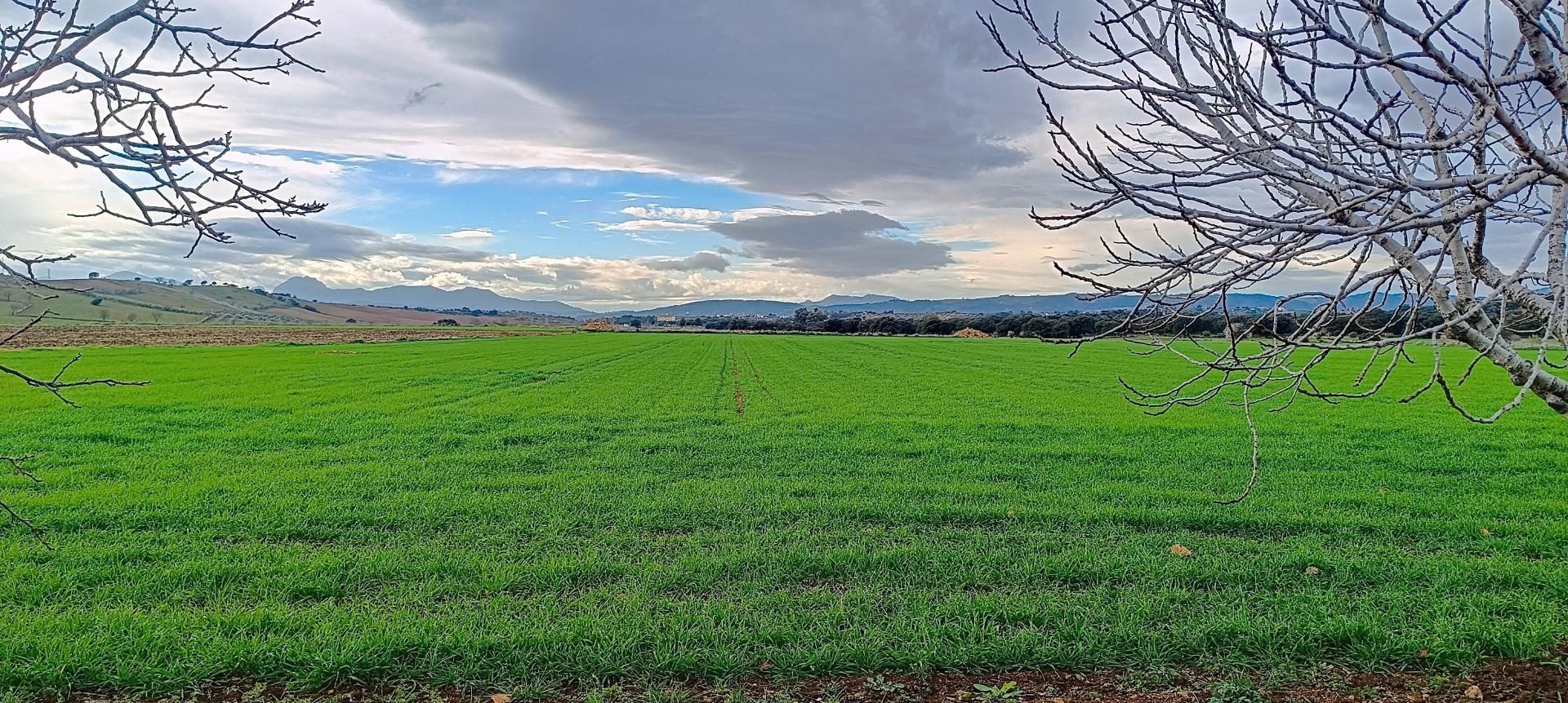 Finca rústica en venta en Ronda