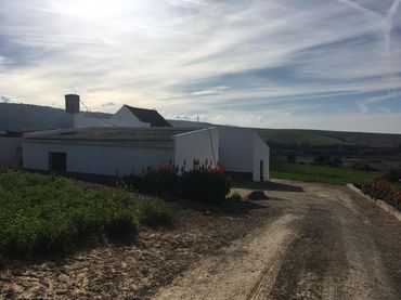 Casa rústica en venda a Arcos de la Frontera