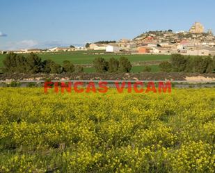 Casa o xalet en venda en Almudévar amb Balcó