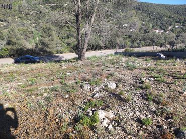 Terreno residencial en venta en Calle Nueva Sierra Bo 109